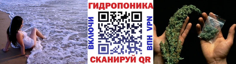 Канабис Amnesia  где купить наркоту  kraken как зайти  Андреаполь 